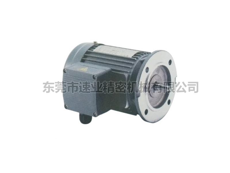 立式三相標(biāo)準(zhǔn)IEC鋁殼（剎車)馬達
